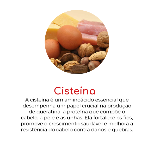 compostos-mh-01.webp