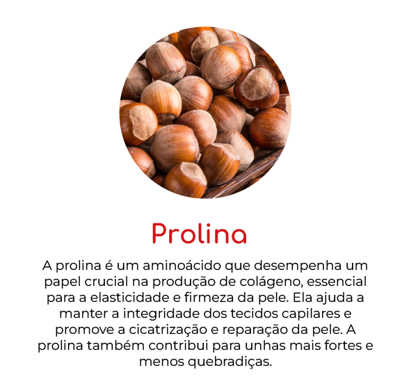 compostos-mh-08.webp