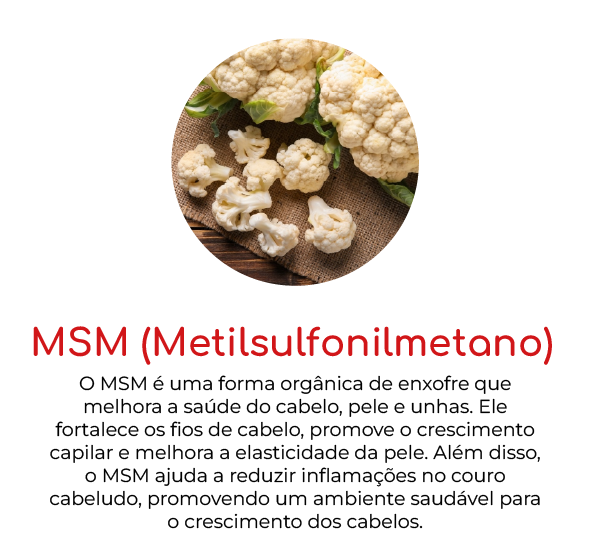 compostos-mh-09.webp